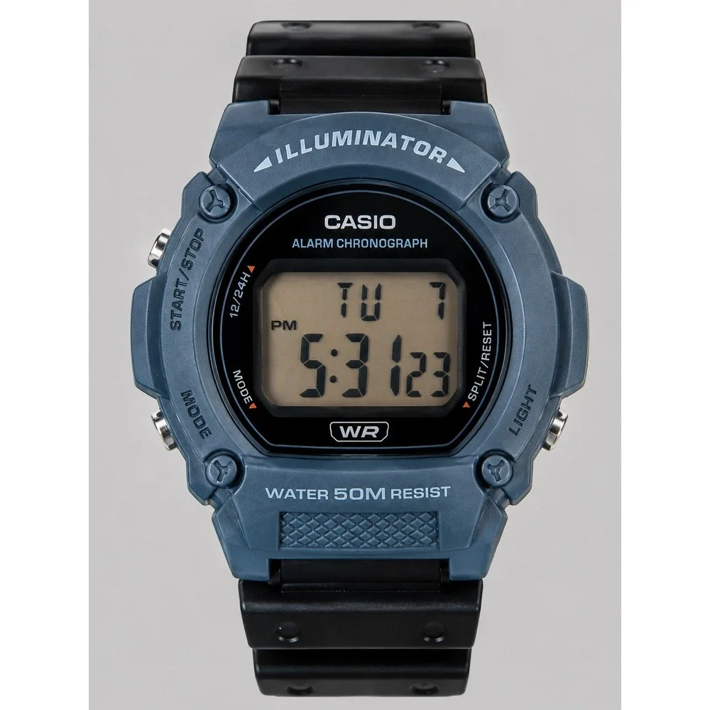 Casio 219h illuminator